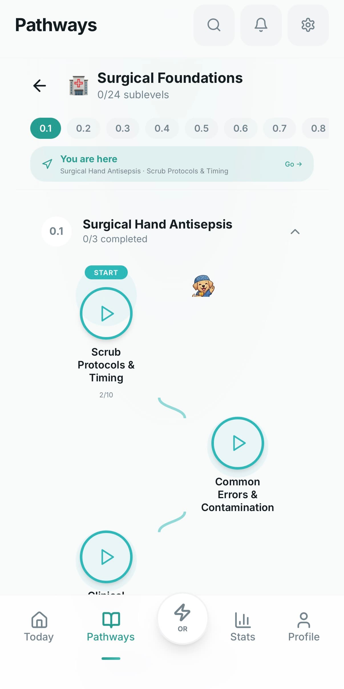 Island-hop progression across surgical pathways